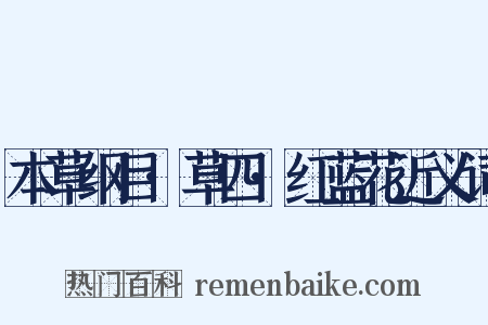 本草纲目·草四·红蓝花近义词是什么意思的图片